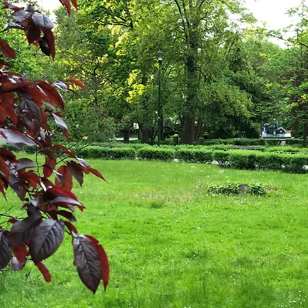 W Kolobrzegu Przy Promenadzie * Kolobrzeg