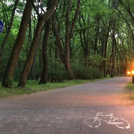 W Kolobrzegu Przy Promenadzie