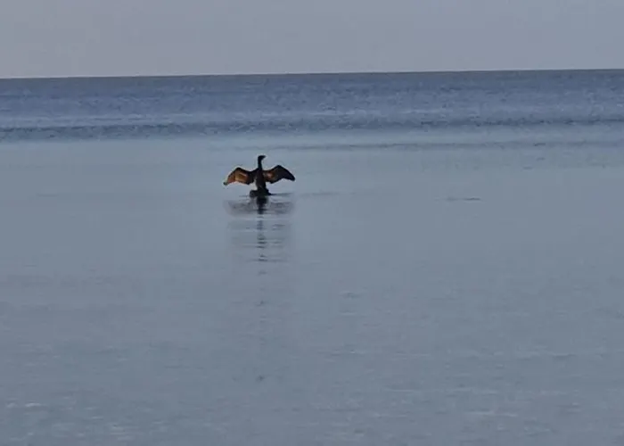 Olimp W Kołobrzegu Przy Promenadzie